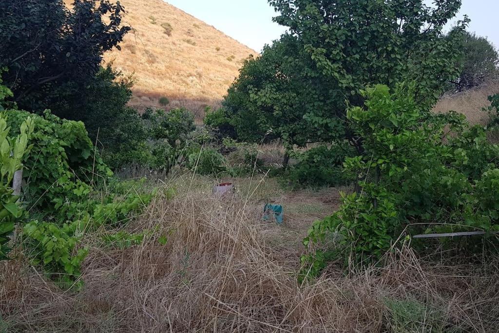Villa Κυθνος Δρυοπίδα, Στούντιο Χατζής à Dhriopís Extérieur photo